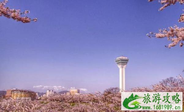 2022年日本各地樱花季预报表 2022年日本各地樱花季预报表