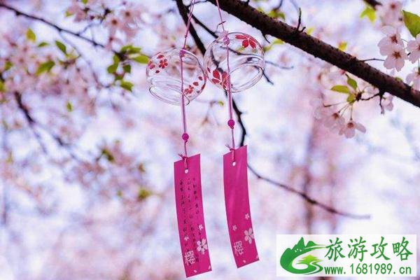 2022无锡近期樱花盛开的地方在哪?无锡赏樱地点推荐 2022无锡近期樱花盛开的地方在哪?无锡赏樱地点推荐