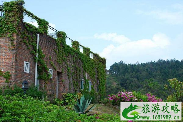 南安香草世界樱花什么时候开?有什么好玩的?