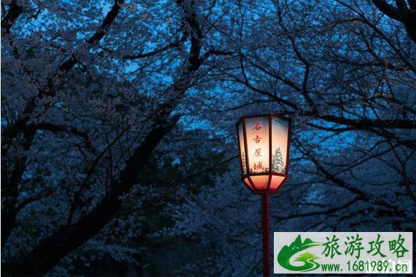 关西樱花观赏地点推荐