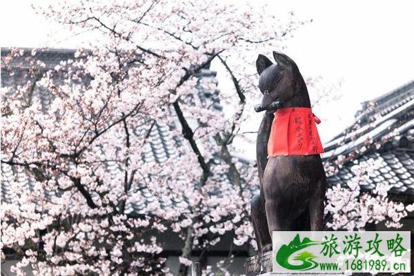 关西樱花观赏地点推荐