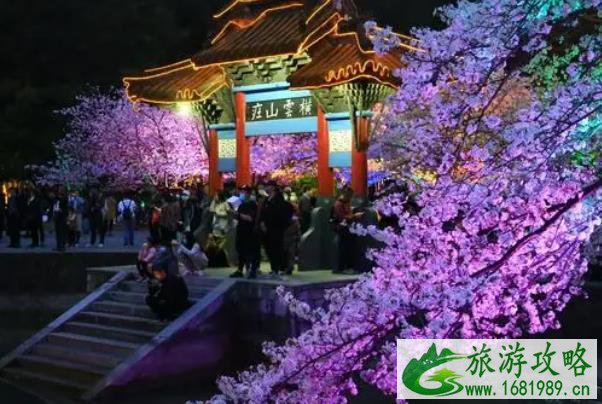 2022无锡鼋头渚夜樱最佳观赏地及开放时间