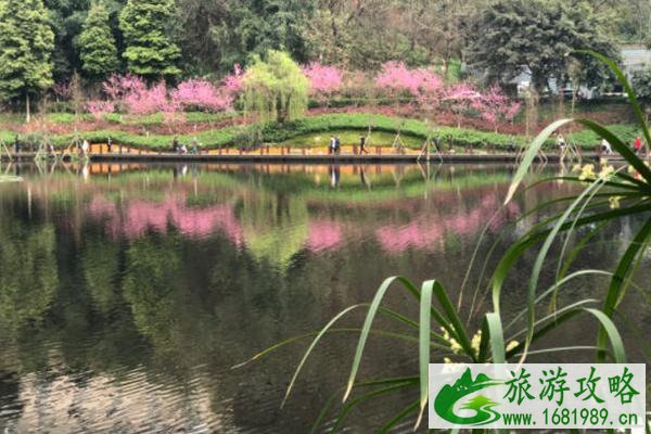 彩云湖湿地公园桃花开了吗