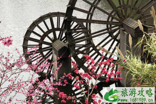 彩云湖湿地公园桃花开了吗