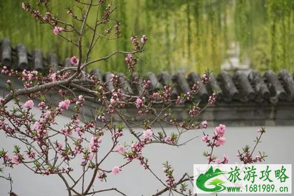 2022北京陶然亭公园赏花时间 2022北京陶然亭公园赏花时间