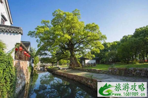 南京周边适合亲子游的景点推荐