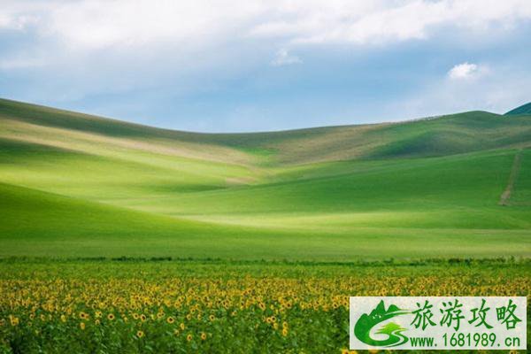夏天适合去哪些地方旅游