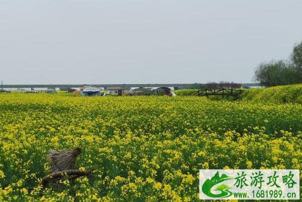 2022扬州高邮湖上花海门票价格