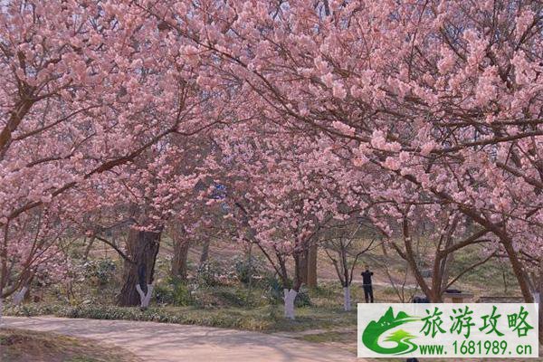 2022中山植物园周一开门吗