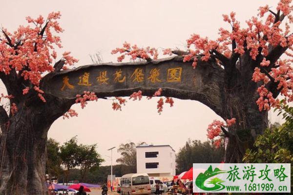 广东赏花十大热门地 附花期时间 广东赏花十大热门地 附花期时间
