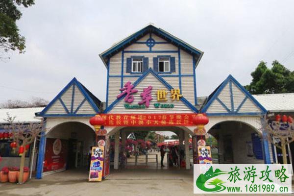 广东赏花十大热门地 附花期时间 广东赏花十大热门地 附花期时间