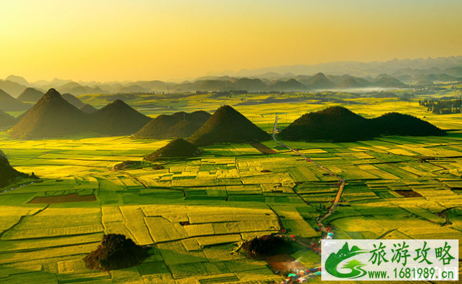 2022年罗平油菜花什么时候开 附最佳观赏地点 2022年罗平油菜花什么时候开 附最佳观赏地点