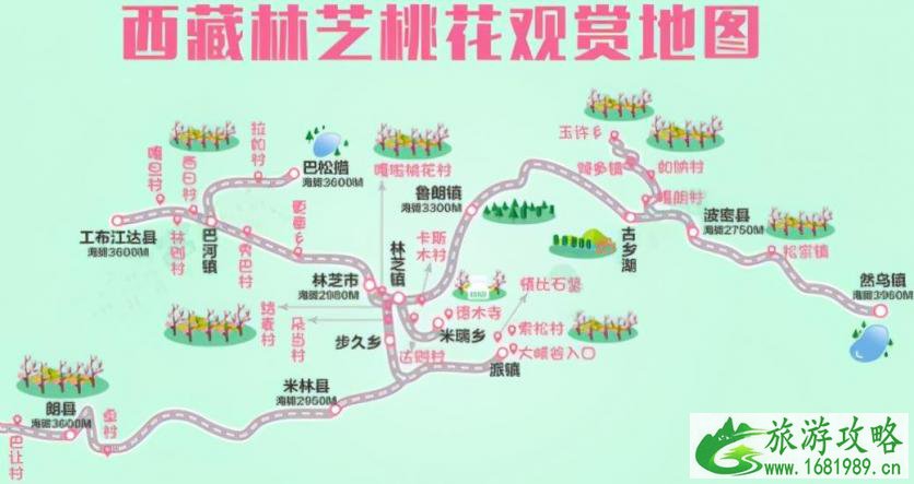 2022林芝桃花几月份去好 林芝桃花最佳观赏期 2022林芝桃花几月份去好 林芝桃花最佳观赏期
