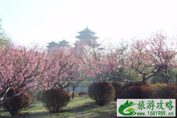 2022扬州赏花景点及攻略