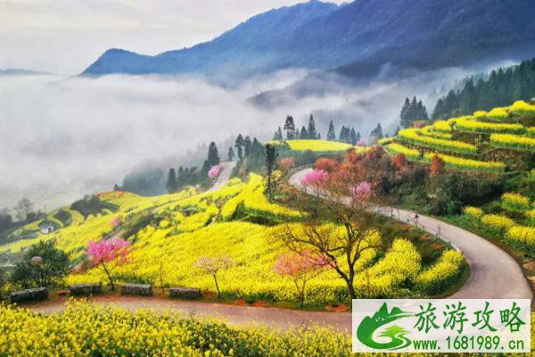 江岭油菜花几月开2022 附景区游玩攻略 江岭油菜花几月开2022 附景区游玩攻略