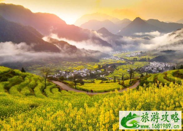 江岭油菜花几月开2022 附景区游玩攻略 江岭油菜花几月开2022 附景区游玩攻略