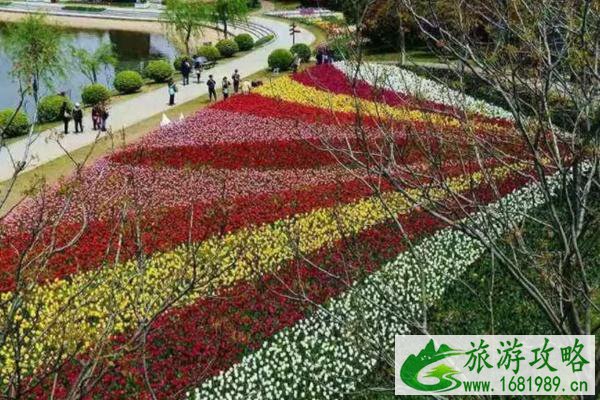 郁金香哪里最出名国内 郁金香哪里最出名国内