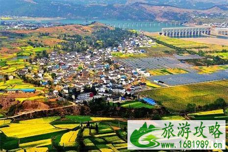 2022广元油菜花开的地方 2022广元油菜花开的地方