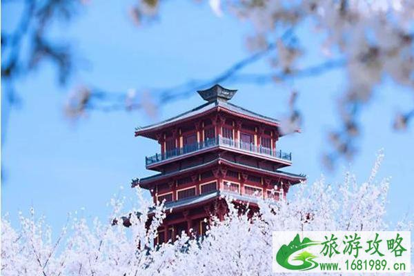 丰乐樱花园门票多少钱?附优惠政策 丰乐樱花园门票多少钱?附优惠政策