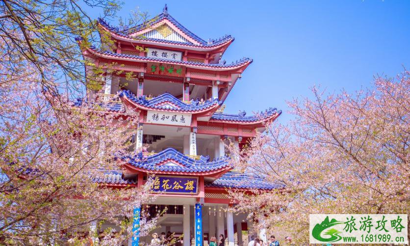 国内樱花哪里最好看 2022国内樱花观赏地点推荐 附门票及开放时间介绍 国内樱花哪里最好看 2022国内樱花观赏地点推荐 附门票及开放时间介绍