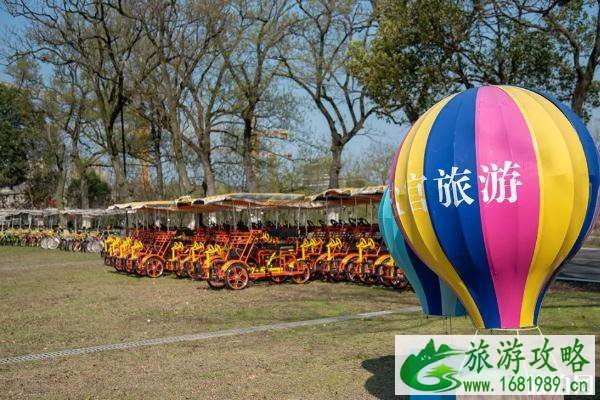 2022盐官百里钱塘樱花攻略