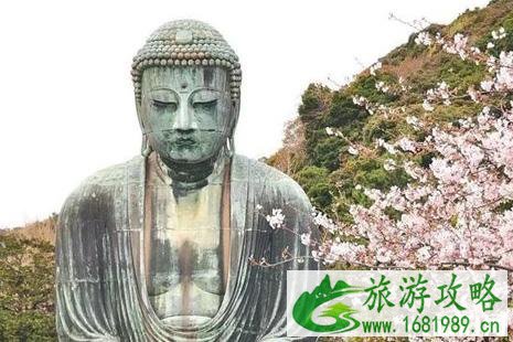 日本神奈川的樱花、富士山的樱花、日本东北地区樱花介绍
