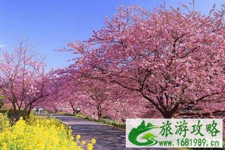 2022鼋头渚风景区门票及优惠政策