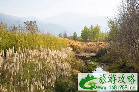 西昌樱花谷在哪里 西昌樱花谷樱花盛开了吗 西昌樱花谷在哪里 西昌樱花谷樱花盛开了吗