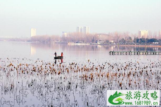 2022鸡鸣寺樱花开放时间是几月份 2022鸡鸣寺樱花开放时间是几月份