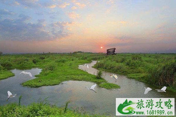 泗洪洪泽湖湿地公园开放时间一览