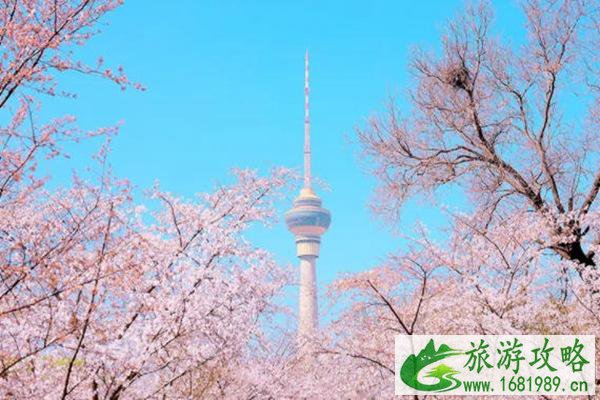 国内三四月份适合旅游的地方