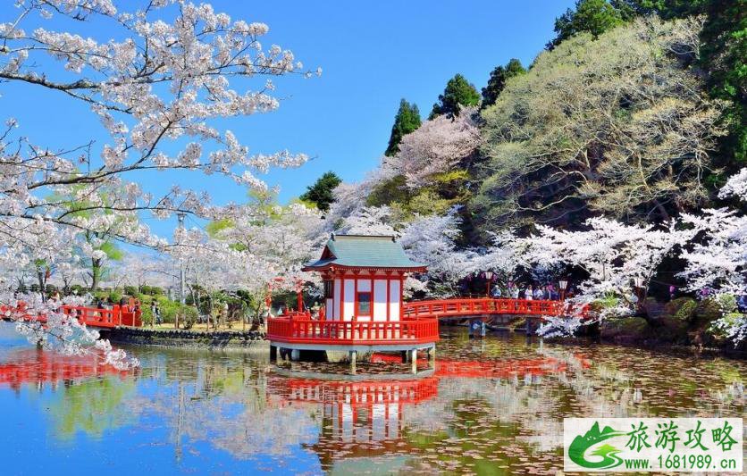 日本樱花几月开 2022日本樱花开放时间及赏樱地点介绍 日本樱花几月开 2022日本樱花开放时间及赏樱地点介绍