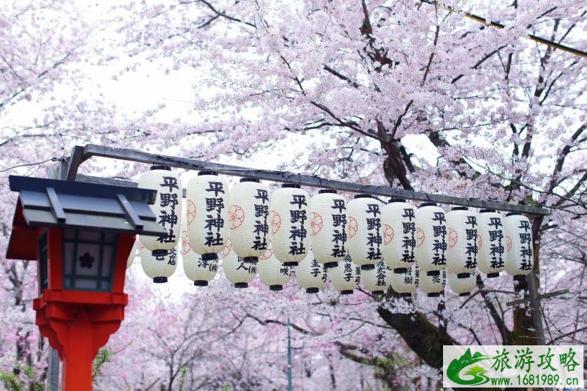 日本樱花几月开 2022日本樱花开放时间及赏樱地点介绍 日本樱花几月开 2022日本樱花开放时间及赏樱地点介绍