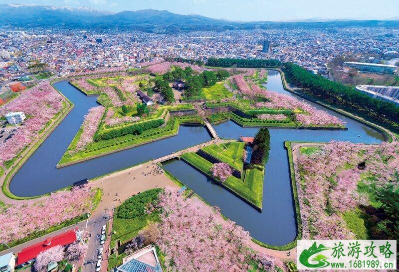 日本樱花几月开 2022日本樱花开放时间及赏樱地点介绍 日本樱花几月开 2022日本樱花开放时间及赏樱地点介绍