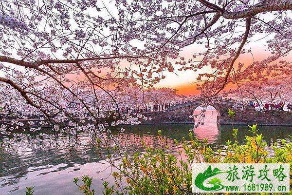 2022鼋头渚樱花节时间 附开放时间和门票价格介绍