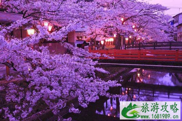 京都樱花的开放时间2022 京都看樱花地点推荐 京都樱花的开放时间2022 京都看樱花地点推荐