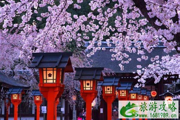 京都樱花的开放时间2022 京都看樱花地点推荐 京都樱花的开放时间2022 京都看樱花地点推荐