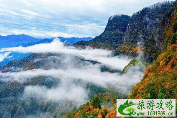 2022瓦屋山景区几点开门 开放时间一览 2022瓦屋山景区几点开门 开放时间一览