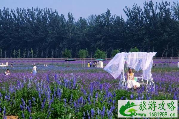 北京情人节去哪里玩比较好2022 北京情人节哪里最浪漫