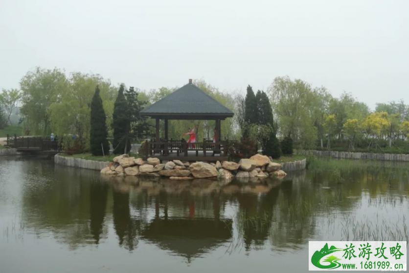 2022金石滩植物园开放时间 2022金石滩植物园开放时间