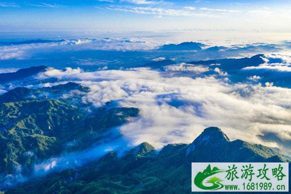 2022大云山国家森林公园自2月7日起临时关闭通知