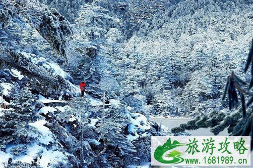 2022螺髻山景区恢复开园时间及最新防疫措施介绍