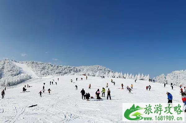 神农架滑雪攻略2022