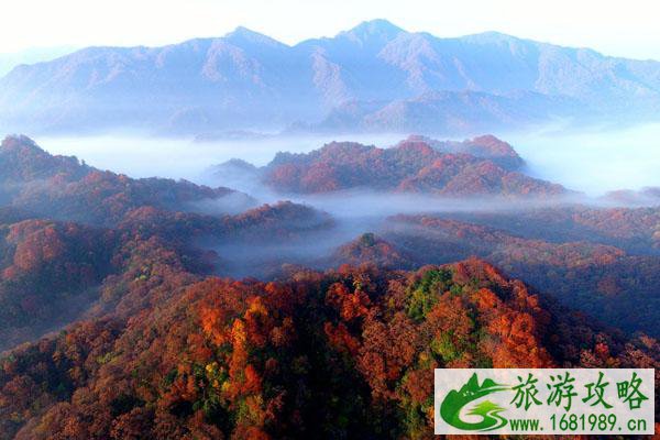 2022光雾山春节营业时间 光雾山旅游区开闭园时间公告