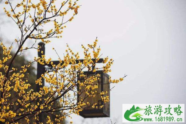 2022无锡春节游玩景点活动详情介绍
