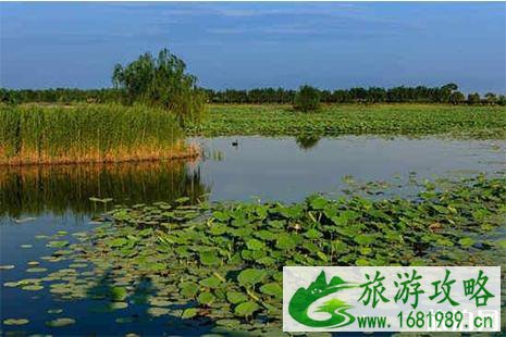 白洋淀冬天关闭了吗 持续到什么时候 白洋淀冬天关闭了吗 持续到什么时候