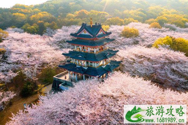 2022无锡鼋头渚春节开放吗 免费门票预约