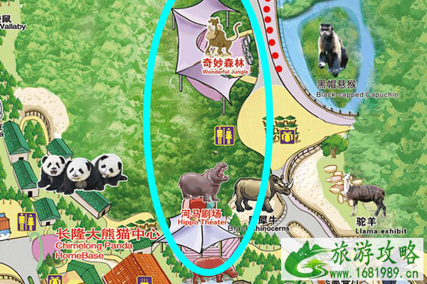 长隆野生动物园一日游最详细攻略