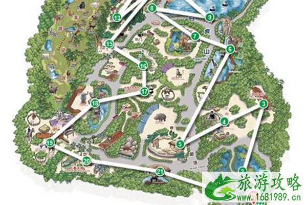 长隆野生动物园一日游最详细攻略