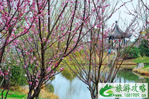 2022无锡春节景区汉服活动汇总
